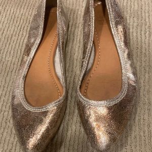 Pointy metallic brushed flats. Perfect for day or night!